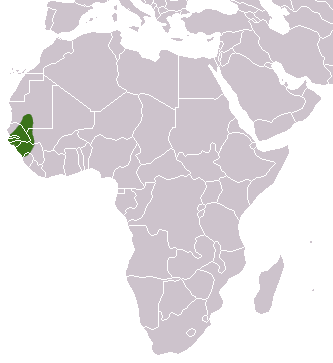 Файл:Guinea Baboon area.png