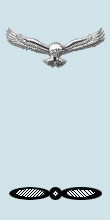 Файл:IAF LAC Arm.png