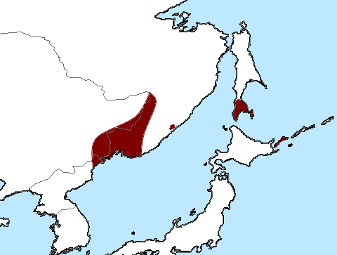 Файл:Murina ussuriensis Range Map.png