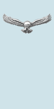 Файл:IAF AC Arm.png