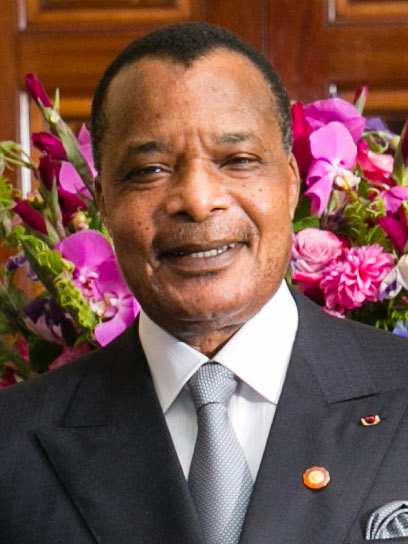 Файл:Denis Sassou Nguesso 2014.jpg