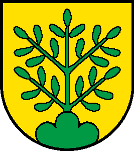 Файл:Oberbuchsiten-blason.png