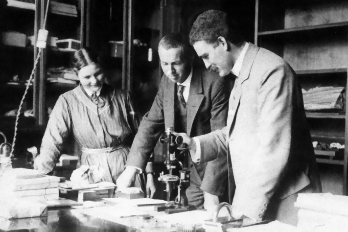 Файл:1915-Goldschmit-VM.jpg