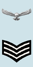 Файл:IAF Sgt Arm.png