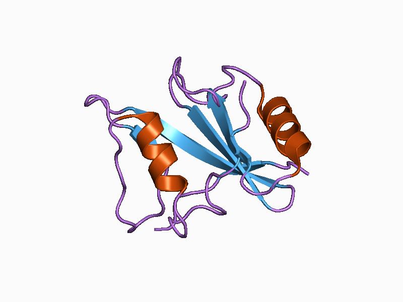 Файл:PDB 1d4t EBI.jpg