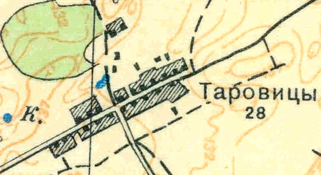 План деревни Таровицы. 1931 год