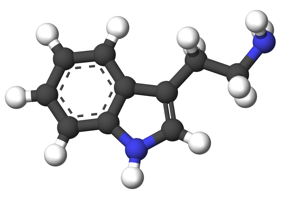 Файл:Tryptamine-3d-sticks.png