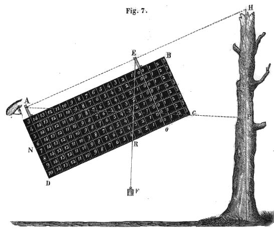 Файл:Dendromètre.jpg