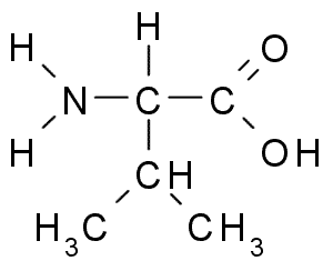 Файл:Valine.png