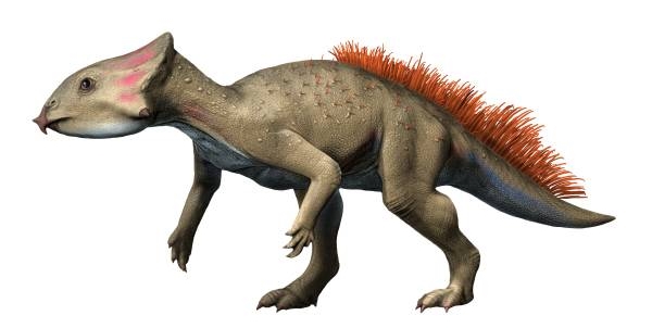 Файл:Aquilops NT small.jpg