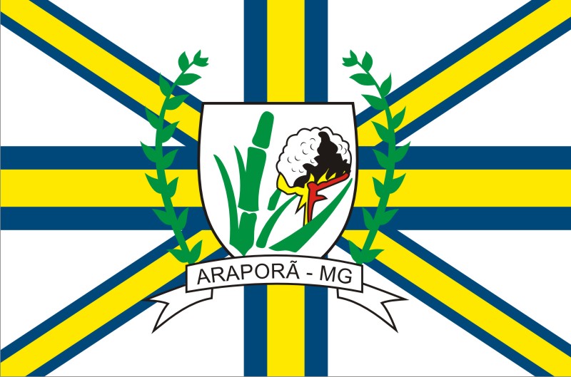 Файл:Bandeira de Arapora.jpg