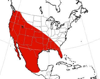 Файл:Borophagus diversidens range.png