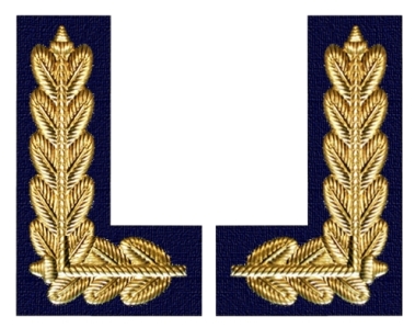 Файл:GDR Navy Arab OF6-9.jpg
