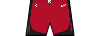Kit shorts houstonrockets icon.png