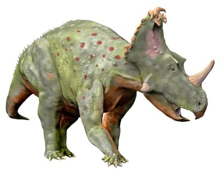 Файл:Coronosaurus NT small.jpg