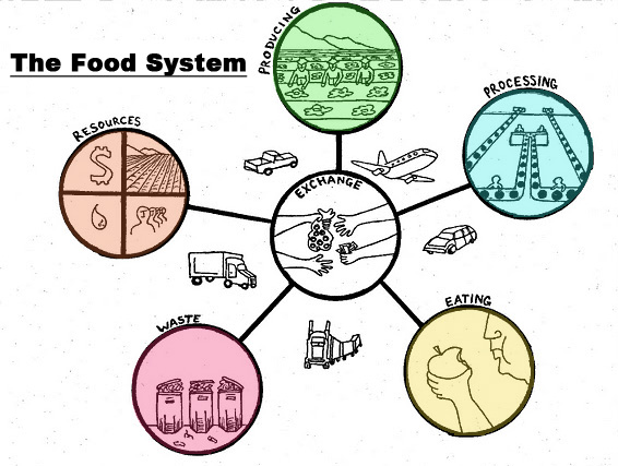 Файл:Foodsystem.jpg