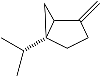 Файл:Sabinene terpene.png