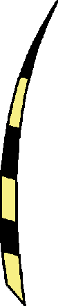 Файл:Agouti - 2.png