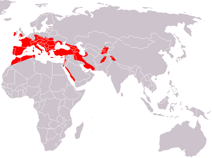 Файл:Lesser Horseshoe Bat area.png