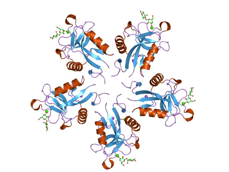 Файл:PDB 1jzn EBI.jpg