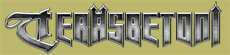 Файл:Teräsbetoni logo.png