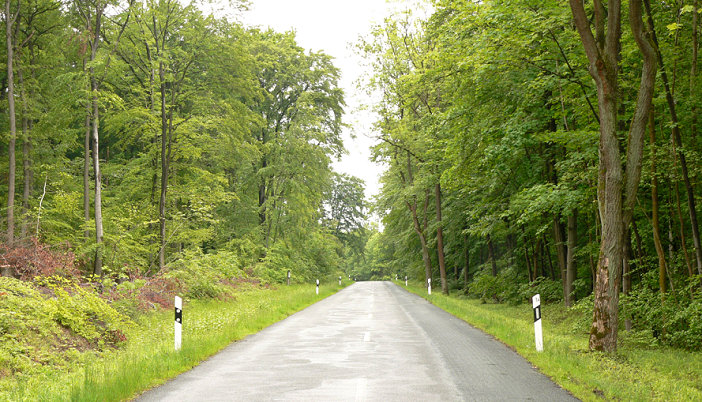 Файл:Lappwald Strasse.jpg