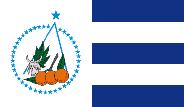 Файл:Bandeira-boquim.png