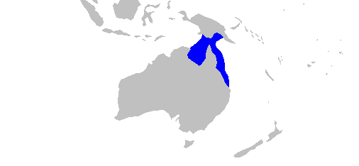 Файл:Neotrygon picta rangemap.png