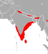 Файл:Rufous Horseshoe Bat area.png