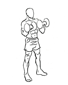 Файл:Zottman-curl-2.gif