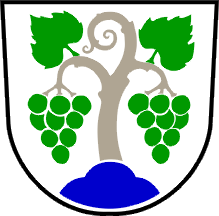 Файл:Vipava.png