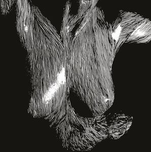 Обложка альбома Oceansize «Self Preserved While the Bodies Float Up» (2010)