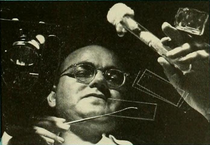 Файл:Albert Kelner 1955.jpg