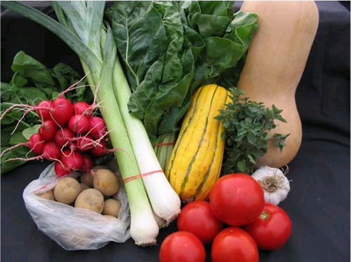 Файл:Aliments locals.png