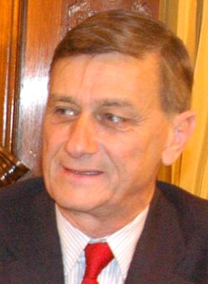 Файл:Hermes Binner.jpg