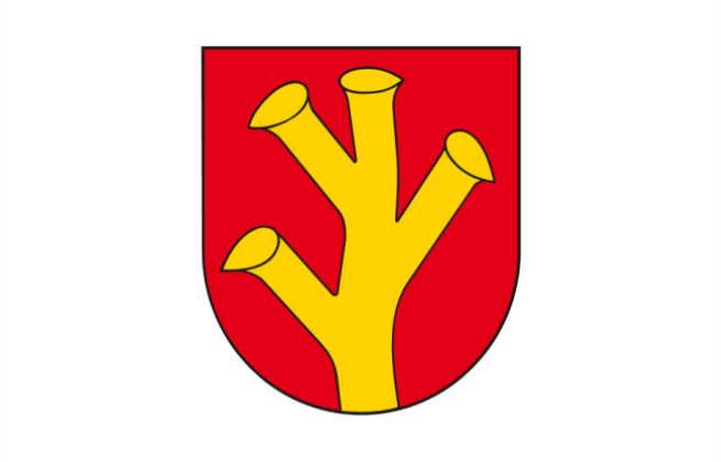 Файл:POL Rychwał flag.png