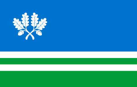 Файл:Tapa valla lipp.png