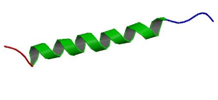 Файл:Glucagon- 1GCN.jpg
