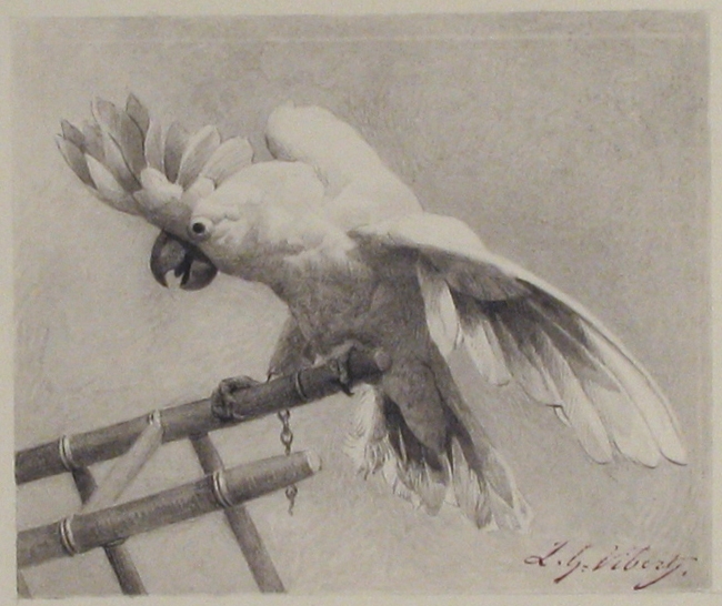 Файл:The Angry Parrot MET 23.280.1.jpg