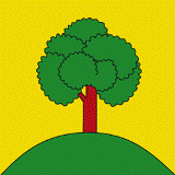 Файл:Goldingen flago.png