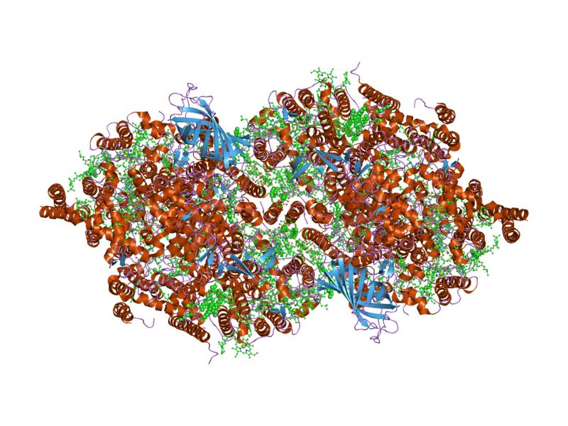 Файл:PDB 2axt EBI.jpg