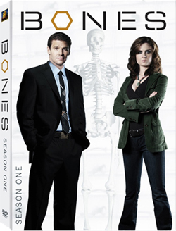 Обложка DVD первого сезона