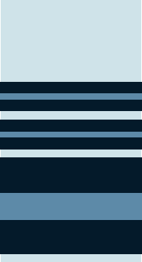Файл:Air Marshal of IAF.png