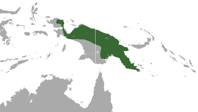 Файл:Feather-tailed Possum area.png