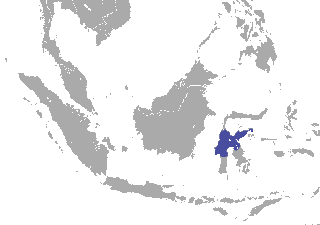 Файл:Tonkean Macaque area.png