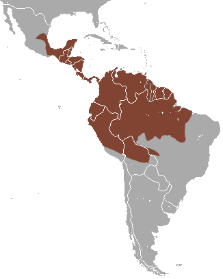Файл:Black-eared Opossum area.png