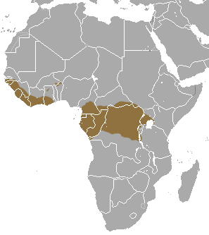 Файл:Giant Pangolin area.png