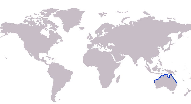 Файл:S. analis distribution map.png