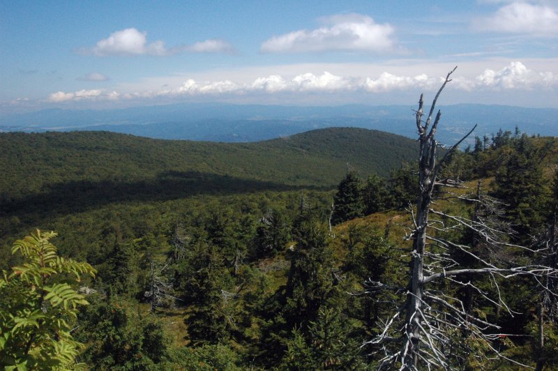Файл:Vtacnik panorama1.jpg