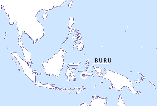 Файл:Buru.png